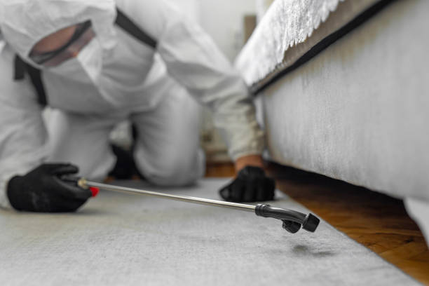Professional Bed Bug Control technician working in San Augustine County County, TX